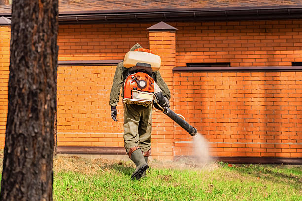 Trusted Emergency Pest Control service in Elizabeth Lake, CA - Nex Pest Control